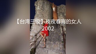 【台湾三级】夜夜春宵的女人2002