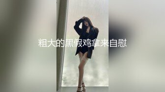 粗大的黑假鸡拿来自慰