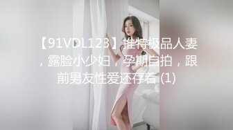 【91VDL123】推特极品人妻，露脸小少妇，孕期自拍，跟前男友性爱还存着 (1)