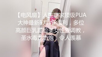 【电风扇】人生赢家顶级PUA大神最新8月VIP福利，多位高颜巨乳露脸美女性爱调教，圣水毒龙奶炮，令人羡慕