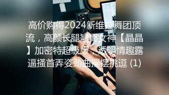 高价购得2024新维拉舞团顶流，高颜长腿翘臀女神【晶晶】加密特超级版，透明情趣露逼搔首弄姿劲曲摇摆挑逗 (1)