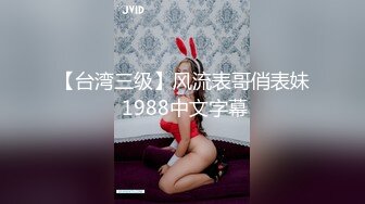 【台湾三级】风流表哥俏表妹 1988中文字幕