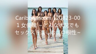 Caribbeancom 120823-001 女優魂 ～どんな状況でもセックスを楽しむプロ根性～