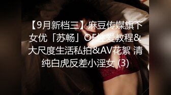 【9月新档三】麻豆传媒旗下女优「苏畅」OF性爱教程&大尺度生活私拍&AV花絮 清纯白虎反差小淫女 (3)