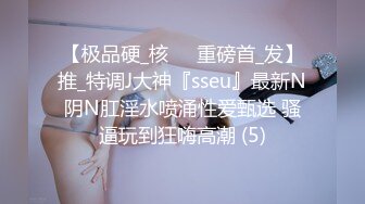 【极品硬_核❤️重磅首_发】推_特调J大神『sseu』最新N阴N肛淫水喷涌性爱甄选 骚逼玩到狂嗨高潮 (5)