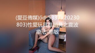 (愛豆傳媒)(id-5337)(20230803)性愛玩具推銷員之震波療法-惠敏