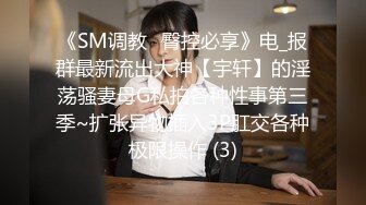 《SM调教✅臀控必享》电_报群最新流出大神【宇轩】的淫荡骚妻母G私拍各种性事第三季~扩张异物插入3P肛交各种极限操作 (3)