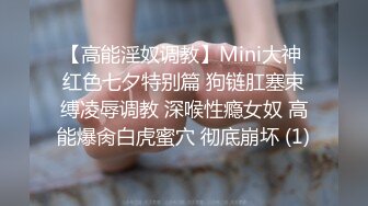 【高能淫奴调教】Mini大神 红色七夕特别篇 狗链肛塞束缚凌辱调教 深喉性瘾女奴 高能爆肏白虎蜜穴 彻底崩坏 (1)