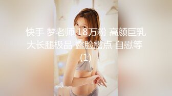 快手 梦老师 18万粉 高颜巨乳大长腿极品 露脸露点 自慰等 (1)