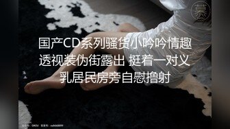 国产CD系列骚货小吟吟情趣透视装伪街露出 挺着一对义乳居民房旁自慰撸射