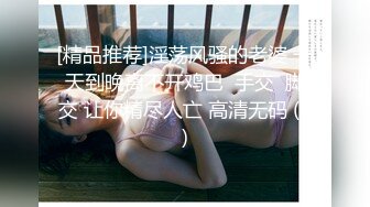 [精品推荐]淫荡风骚的老婆 一天到晚离不开鸡巴  手交  脚交 让你精尽人亡 高清无码 (8)