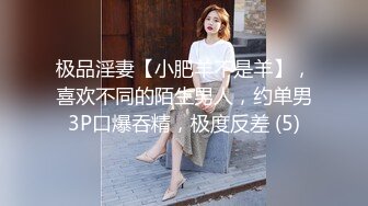 极品淫妻【小肥羊不是羊】，喜欢不同的陌生男人，约单男3P口爆吞精，极度反差 (5)