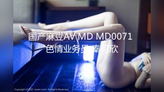 国产麻豆AV MD MD0071 色情业务员 秦可欣