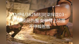 [MP4/362MB]阿柒探花03 约啪极品外围 女神带上项圈不停喊爸爸