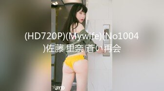 (HD720P)(Mywife)(No1004)佐藤 里奈 蒼い再会