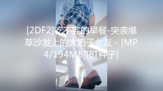 [2DF2]吃不完的早餐-突袭爆草沙发上的大奶子女友 - [MP4/194MB][BT种子]