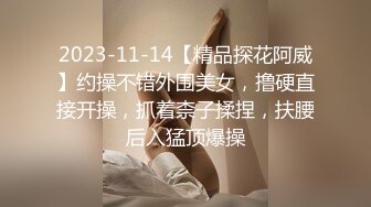 2023-11-14【精品探花阿威】约操不错外围美女，撸硬直接开操，抓着柰子揉捏，扶腰后入猛顶爆操