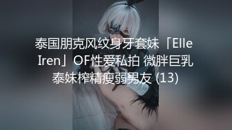 泰国朋克风纹身牙套妹「Elle Iren」OF性爱私拍 微胖巨乳泰妹榨精瘦弱男友 (13)