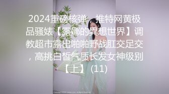 2024重磅核弹，推特网黄极品骚婊【露娜的異想世界】调教超市露出啪啪野战肛交足交，高挑白皙气质长发女神级别【上】 (11)