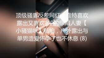 顶级骚妻反差网红！推特喜欢露出又喜欢多P的绿帽人妻【小骚猫咪】私拍，户外露出与单男造爱怀孕了也不休息 (8)