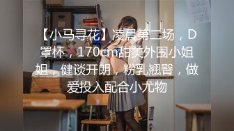 【小马寻花】凌晨第二场，D罩杯，170cm甜美外围小姐姐，健谈开朗，粉乳翘臀，做爱投入配合小尤物